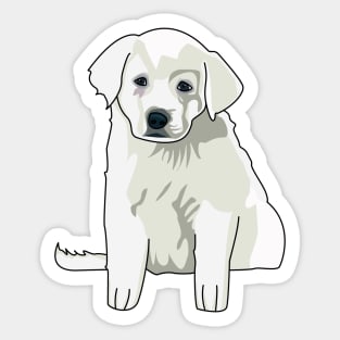 Baby Akbash dog , cute puppy, great pyrenees baby, akbash baby dog australia Sticker